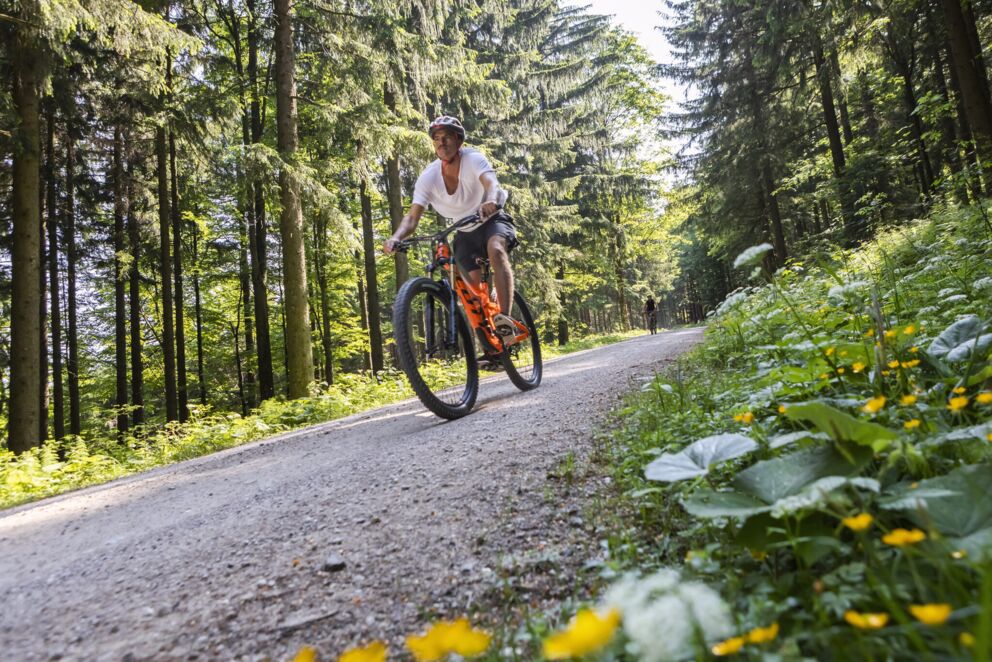 Erleben Sie in Ihrem Radurlaub in Mondsee die schönsten Fahrradtouren im Salzkammergut