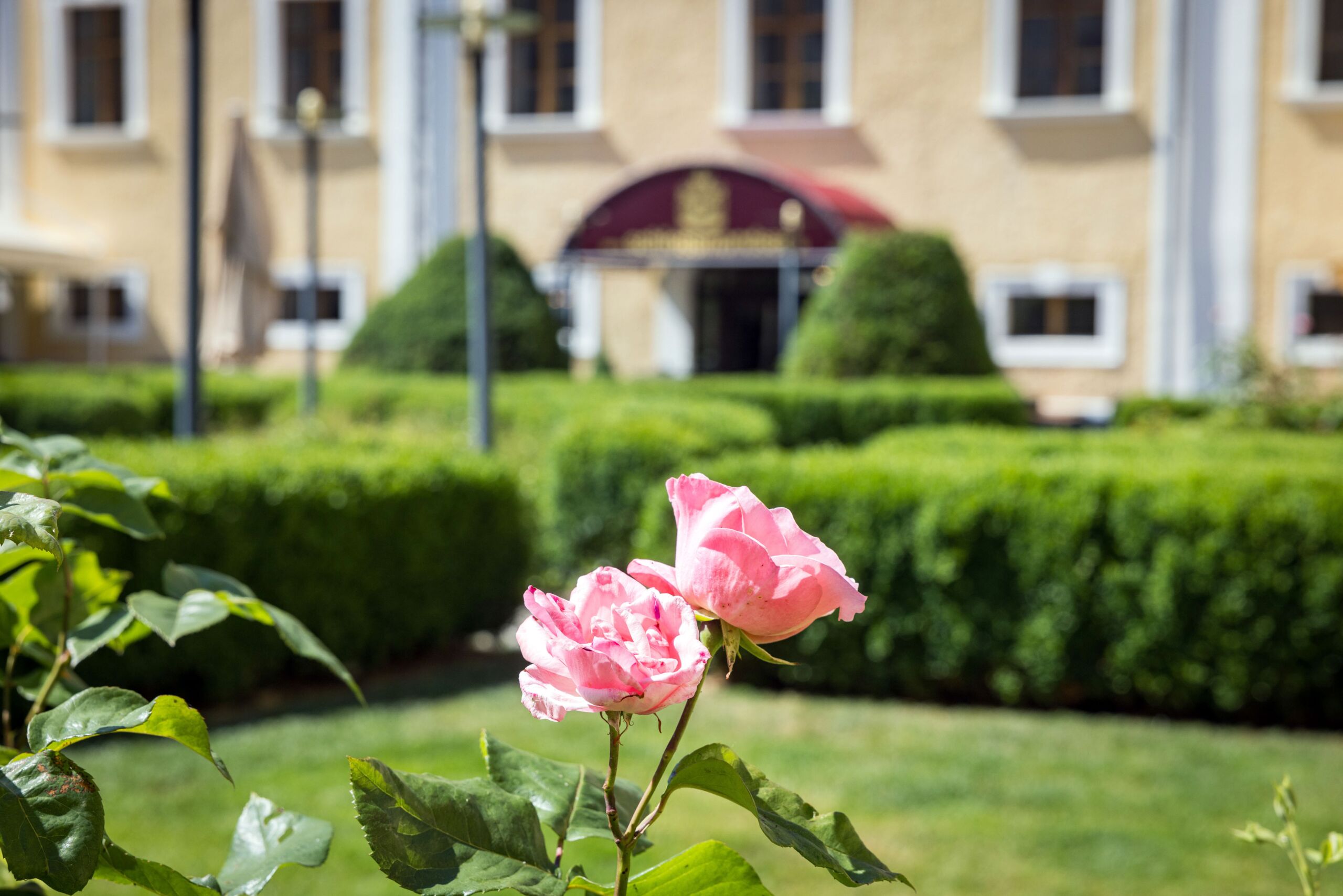Blumen im Schlossgarten Mondsee