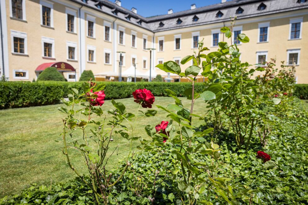 Detailaufnahme einer blühenden Blume im historischen Schlossgarten des Schlosshotels Mondsee