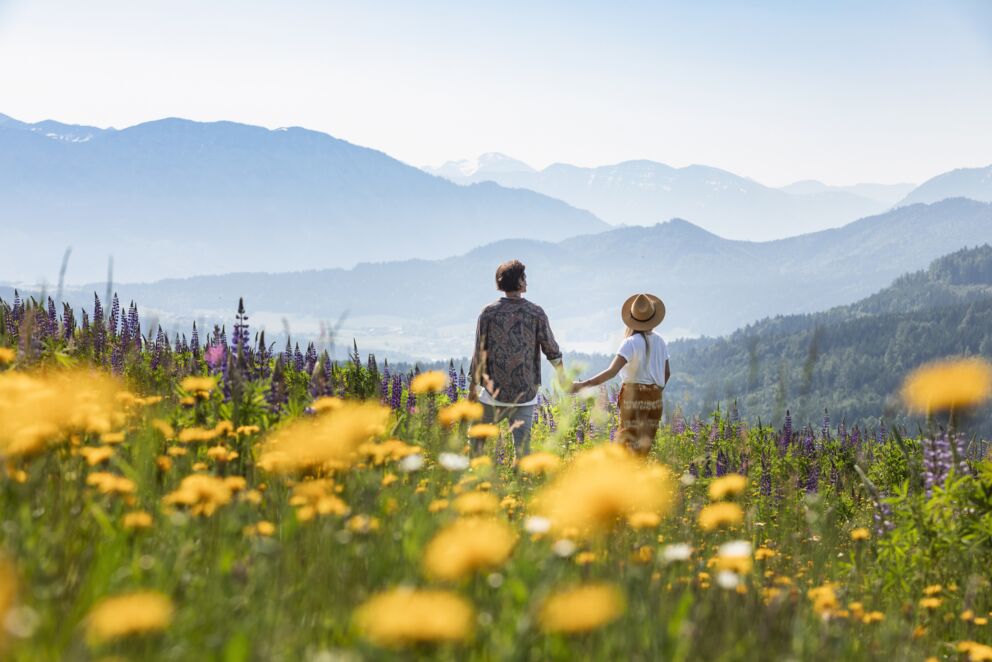 Romantische Ideen und Plätze für einen Heiratsantrag beim Picknick in der grünen blühenden Almweide.