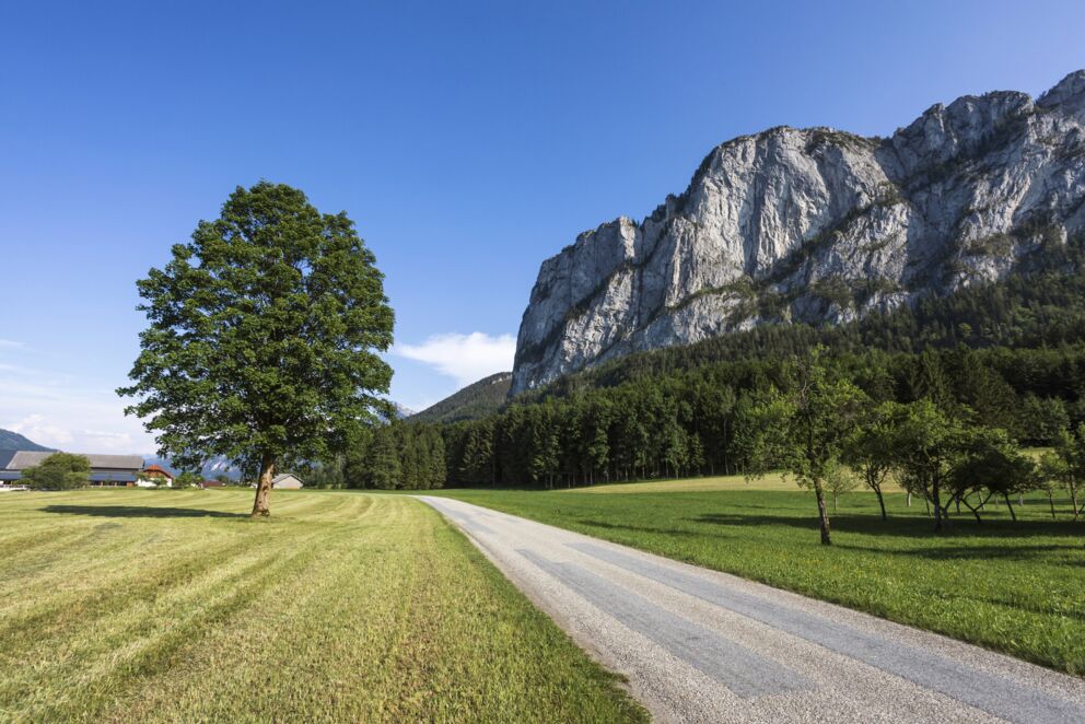 Romantische Idee für eine Kutschenfahrt entlang der Drachenwand im Salzkammergut