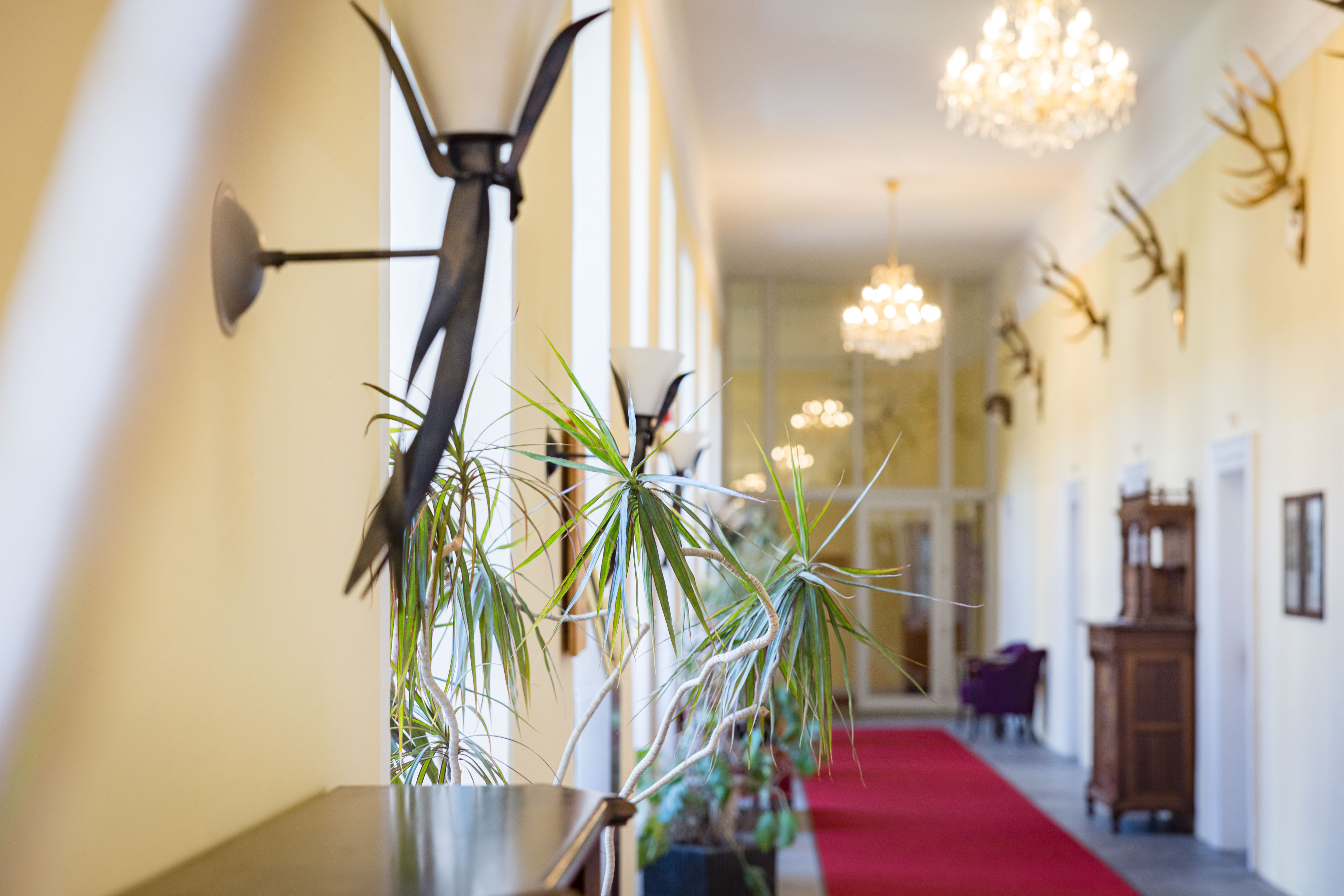 Lichtdurchfluteter Gang im Schlosshotel Mondsee mit elegantem Interieur und historischem Charme